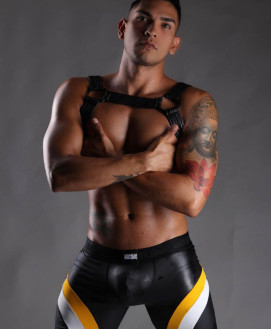 Male Escort